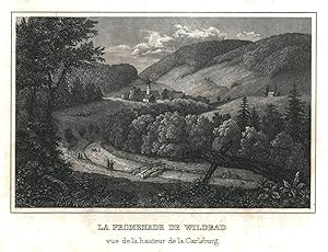 Bild des Verkufers fr Fernsicht, von der Promenade, "La Promenade de Wildbad .". zum Verkauf von Antiquariat Clemens Paulusch GmbH