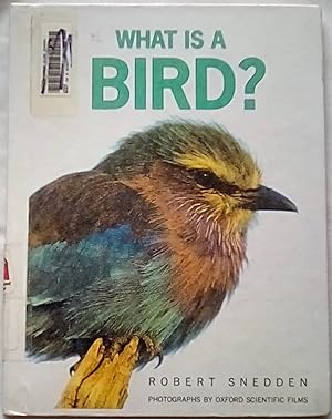 Seller image for What Is a Bird for sale by P Peterson Bookseller