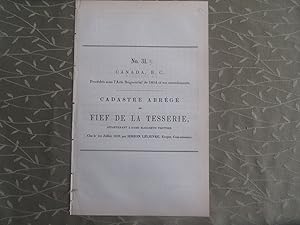 Cadastre abrégé #31B du Fief de la Tesserie appartenant à dame Élisabeth Trottier, procédés sous ...