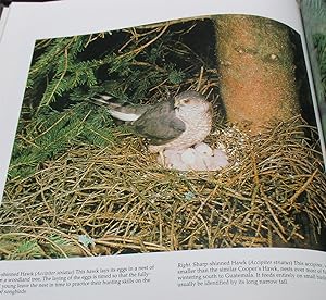 Image du vendeur pour Birds of the World (3 Volume set): Game Birds, Birds of Prey, Waterfowl mis en vente par Friends of the Redwood Libraries