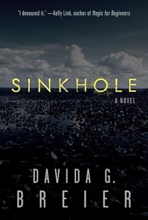 Seller image for Sinkhole by Breier, Davida [Paperback ] for sale by booksXpress