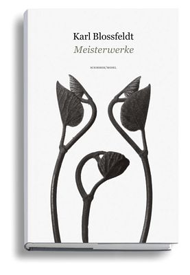 Karl Blossfeldt Meisterwerke