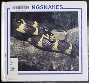 Seller image for Kingsnakes (Snakes Discovery Library) for sale by GuthrieBooks