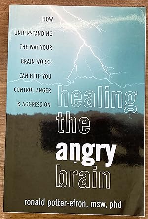 Seller image for Healing the Angry Brain: How Understanding the Way Your Brain Works Can Help You Control Anger and Aggression for sale by Molly's Brook Books