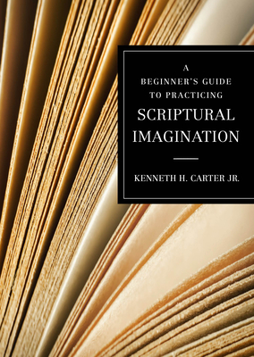 Seller image for A Beginner's Guide to Practicing Scriptural Imagination (Paperback or Softback) for sale by BargainBookStores