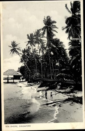 Bild des Verkufers fr Ansichtskarte / Postkarte Singapur, Sea Shore, Strand, Palmen zum Verkauf von akpool GmbH