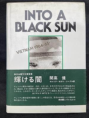 Into a Black Sun. Vietnam 1964-65.