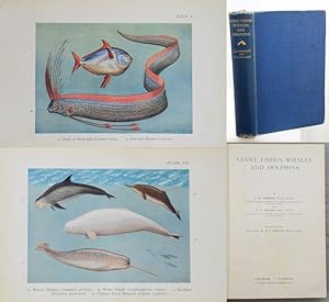 Bild des Verkufers fr GIANT FISHES, WHALES AND DOLPHINS. zum Verkauf von Francis Edwards ABA ILAB