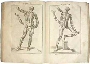 Imagen del vendedor de Anatome Corporis Humani. a la venta por Librera Jos Porra Turanzas S.A.