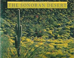 The Sonoran Desert. Arizona, California, Mexico.