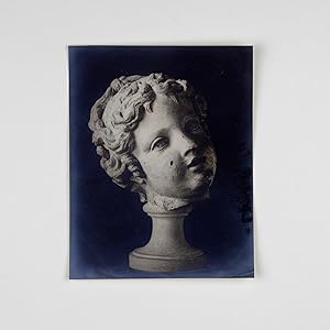 11 photographies originales d'un plâtre d'une sculpture des jardins de Versailles.