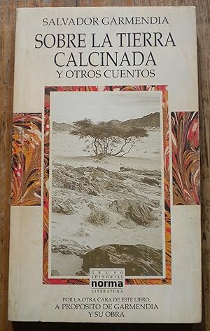 Sobre la tierra calcinada y otros cuentos - A propósito de Salvador Garmendia y su obra