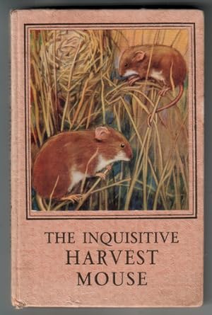 Seller image for The Inquisitive Harvest Mouse for sale by The Children's Bookshop