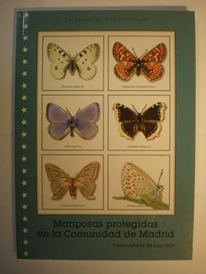 Mariposas protegidas en la Comunidad de Madrid