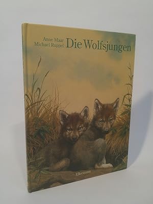 Die Wolfsjungen Ab 5 Jahren