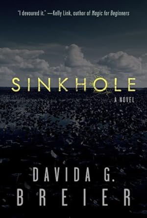 Seller image for Sinkhole for sale by GreatBookPrices