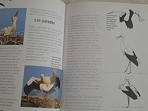 Bild des Verkufers fr LA CIGOGNE : DESCRIPTION, MOEURS, OBSERVATION, PROTECTION, MYTHOLOGIE zum Verkauf von Librairie RAIMOND