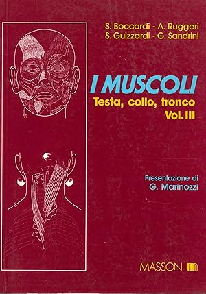 Seller image for I Muscoli. Testa, Collo, Tronco. Vol III for sale by Libro Co. Italia Srl