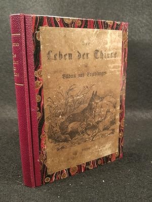 Das Leben der Thiere - Bilder und Erzählungen Mit einem Vorwort von Ludwig Reichenbach