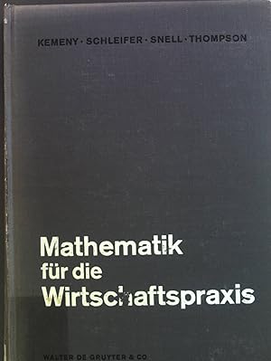 Seller image for Mathematik fr die Wirtschaftspraxis for sale by books4less (Versandantiquariat Petra Gros GmbH & Co. KG)