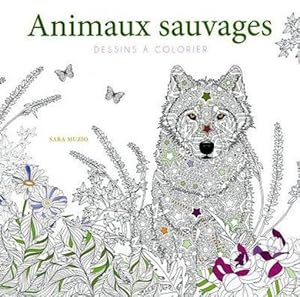 animaux sauvages : dessins à colorier