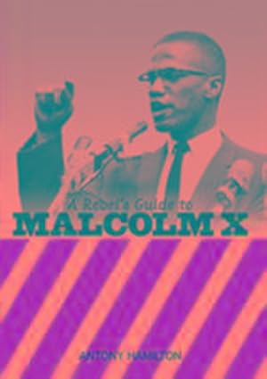 Seller image for A Rebel's Guide To Malcolm X for sale by Smartbuy