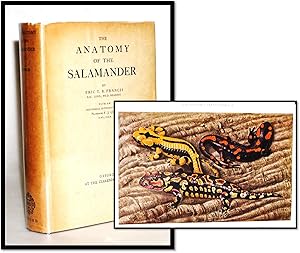 Bild des Verkufers fr The Anatomy of the Salamander zum Verkauf von Blind-Horse-Books (ABAA- FABA)