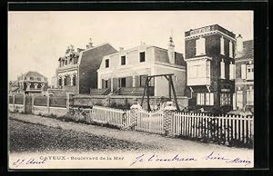 Carte postale Cayeux, Boulevard de la Mer