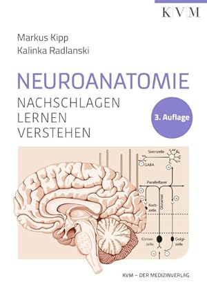 Bild des Verkufers fr Neuroanatomie : Nachschlagen | Lernen | Verstehen zum Verkauf von AHA-BUCH GmbH