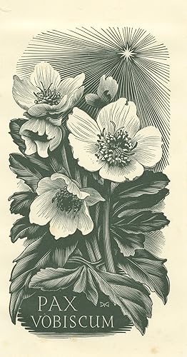 Original Master Print-Botany-Flower-Hellebore-Pax vobiscum-Gelder-ca. 1950