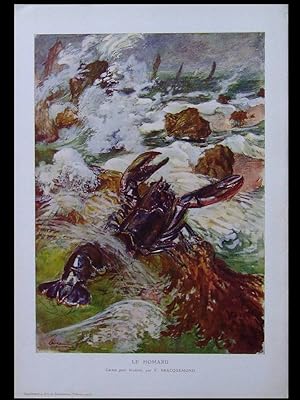 FELIX BRACQUEMOND, LE HOMARD - PLANCHE 1905 - LOBSTER