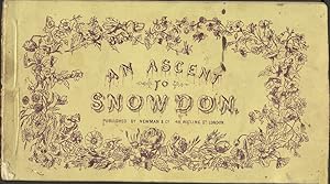 An Ascent to Snowdon