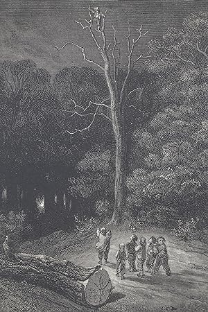 Charles Perrault, Contes, Le Petit Poucet, "Le Petit Poucet grimpa en haut d'un arbre pour voir s...