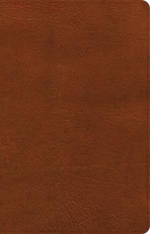 Immagine del venditore per Holy Bible : New American Standard Bible, Large Print Personal Size Reference Bible, Leathertouch, Burnt Sienna venduto da GreatBookPrices
