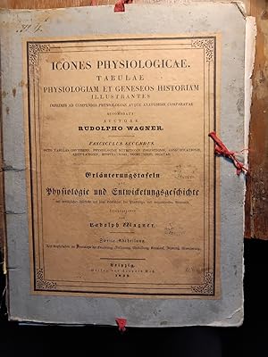 Icones physiologicae. Tabulae physiologiam et geneseos historiam illustrantes. Erläuterungstafeln...