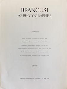 Immagine del venditore per Brancusi As Photographer venduto da Wittenborn Art Books