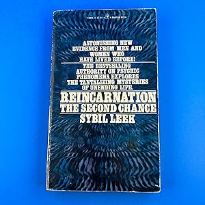 Reincarnation: The Second Chance