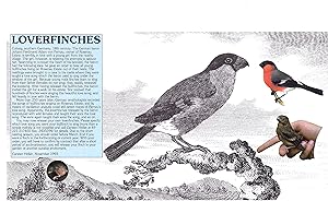 Bild des Verkufers fr Loverfinches zum Verkauf von Galerie Buchholz OHG (Antiquariat)