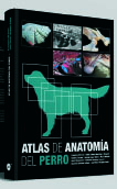 Bild des Verkufers fr Atlas de anatoma del perro zum Verkauf von Vuestros Libros