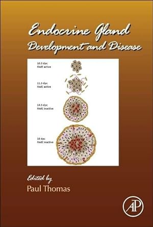 Seller image for Endocrine Gland Development and Disease for sale by moluna