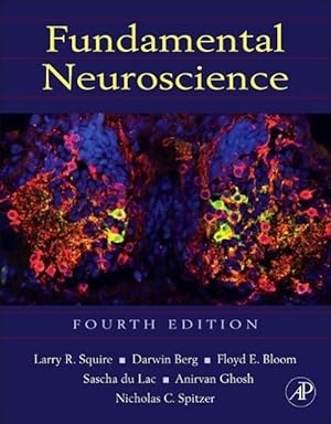 Image du vendeur pour Fundamental Neuroscience mis en vente par moluna