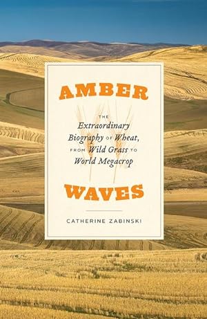 Bild des Verkufers fr Amber Waves: The Extraordinary Biography of Wheat, from Wild Grass to World Megacrop zum Verkauf von moluna