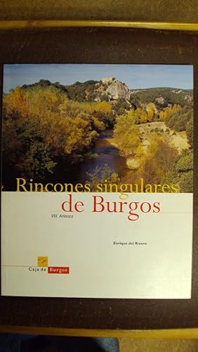 Seller image for RINCONES SINGULARES DE BURGOS for sale by LIBRERIA AZACAN