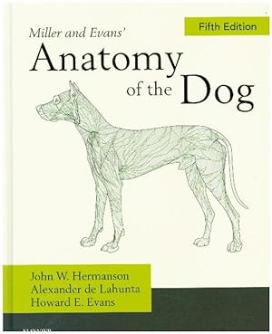 Seller image for Miller and Evans\ Anatomy of the Dog for sale by moluna