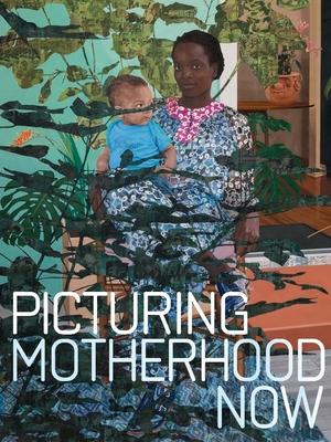 Bild des Verkufers fr Picturing Motherhood Now zum Verkauf von moluna