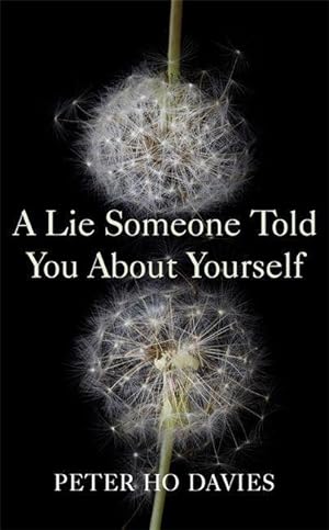 Seller image for A Lie Someone Told You About Yourself for sale by moluna