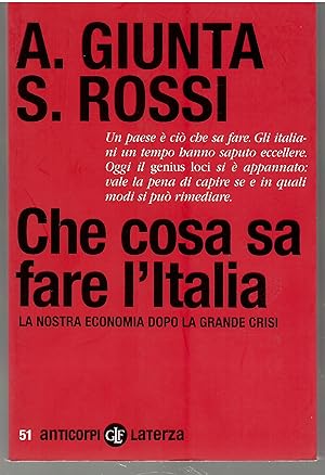 Che Cosa Sa Fare l'Italia. La Nostra Economia Dopo La Grande Crisi