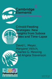Imagen del vendedor de Crinoid Feeding Strategies: New Insights From Subsea Video And Time-Lapse a la venta por moluna