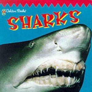 Bild des Verkufers fr Sharks (Look Out!) zum Verkauf von WeBuyBooks