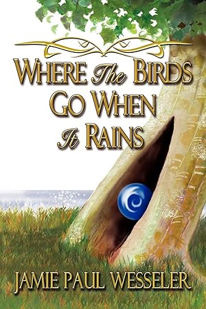 Seller image for Where The Birds Go When It Rains for sale by moluna